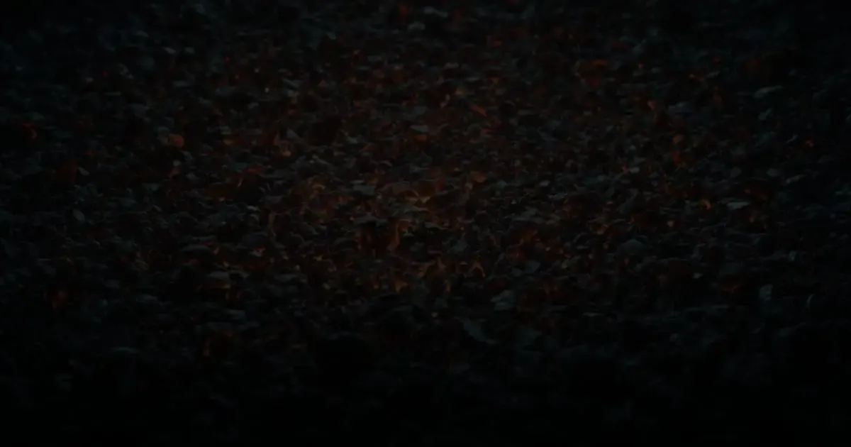 A bed of forge coals scattered with glowing embers, the many small details behind web design and development in Cincinnati, Ohio